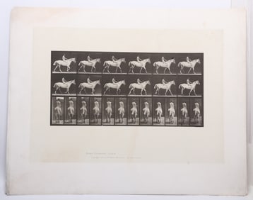 Eadweard Muybridge (1830 - 1904), Collotype, Walking Bareback