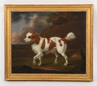 English School (18th Century), Portrait of a Spaniel, Oil on Canvas