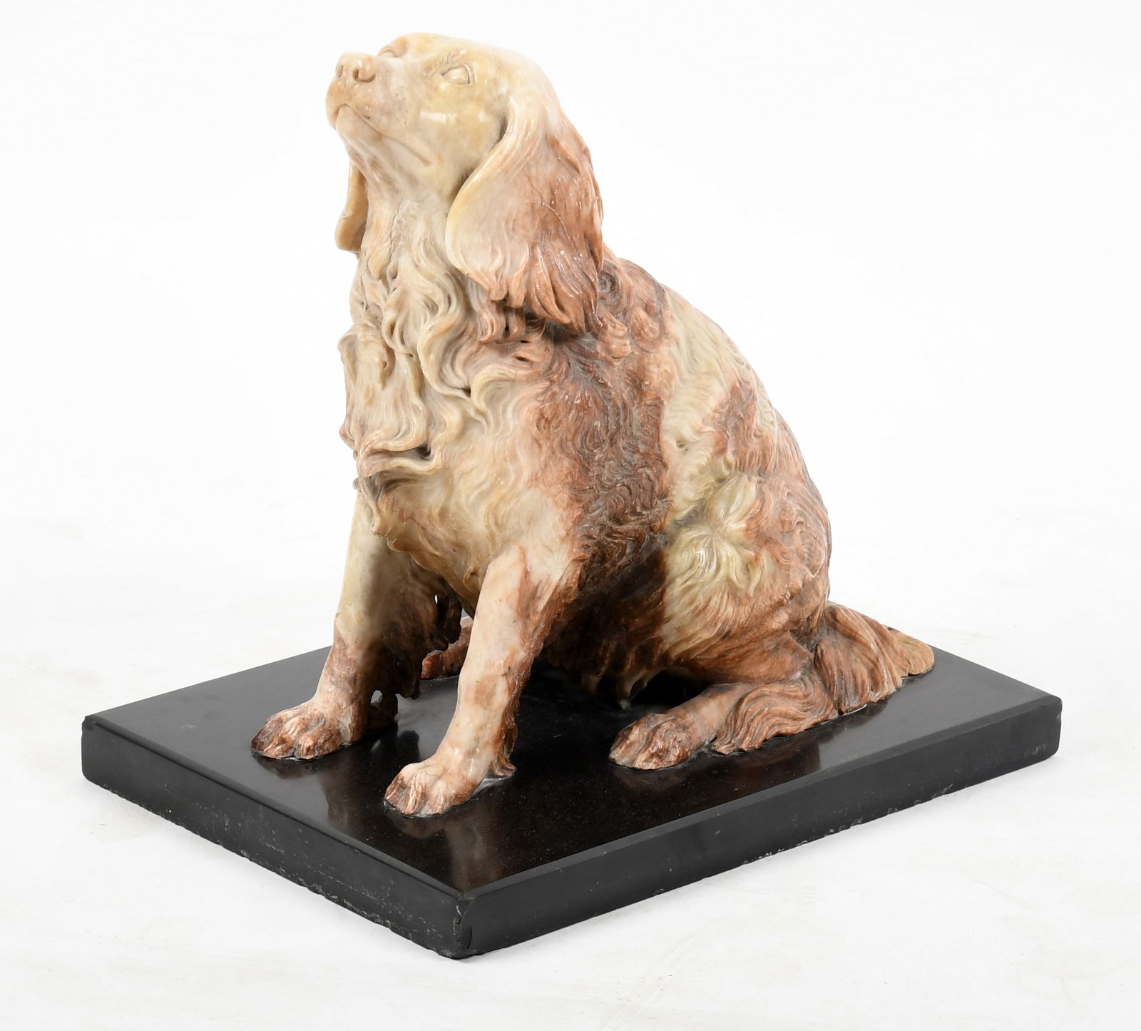 Life-Size Carved Alabaster Model of a Seated Spaniel, Late 19th Century (1 of 10)
