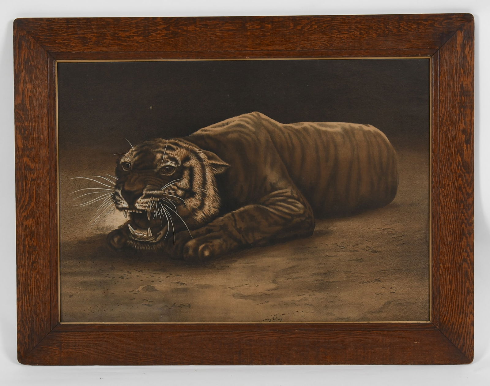 A Chromolithograph of a Tiger, c. 1900: A Chromolithograph of a Tiger, c. 1900 A large example of a tiger, apparently unmarked. In what appears to be the original oak frame. Dimensions: sight is 23 1/2in x 33 1/2in, the frame 32