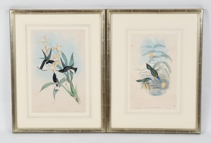 Two Hand-Colored Lithographs of Hummingbirds
