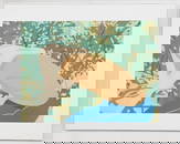 Alex Katz (b. 1927) Bicycle Rider