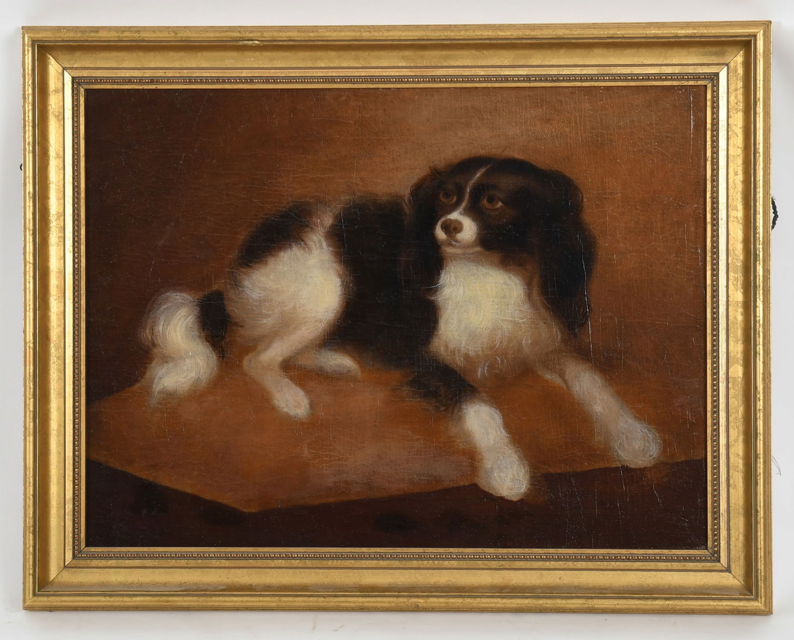 British School (19th Century), Portrait of a Spaniel: British School (19th Century), Portrait of a Spaniel Oil on canvas, unsigned. Dimensions: 18 1/2" x 24", 22 1/4" x 28 1/4" Provenance: From a