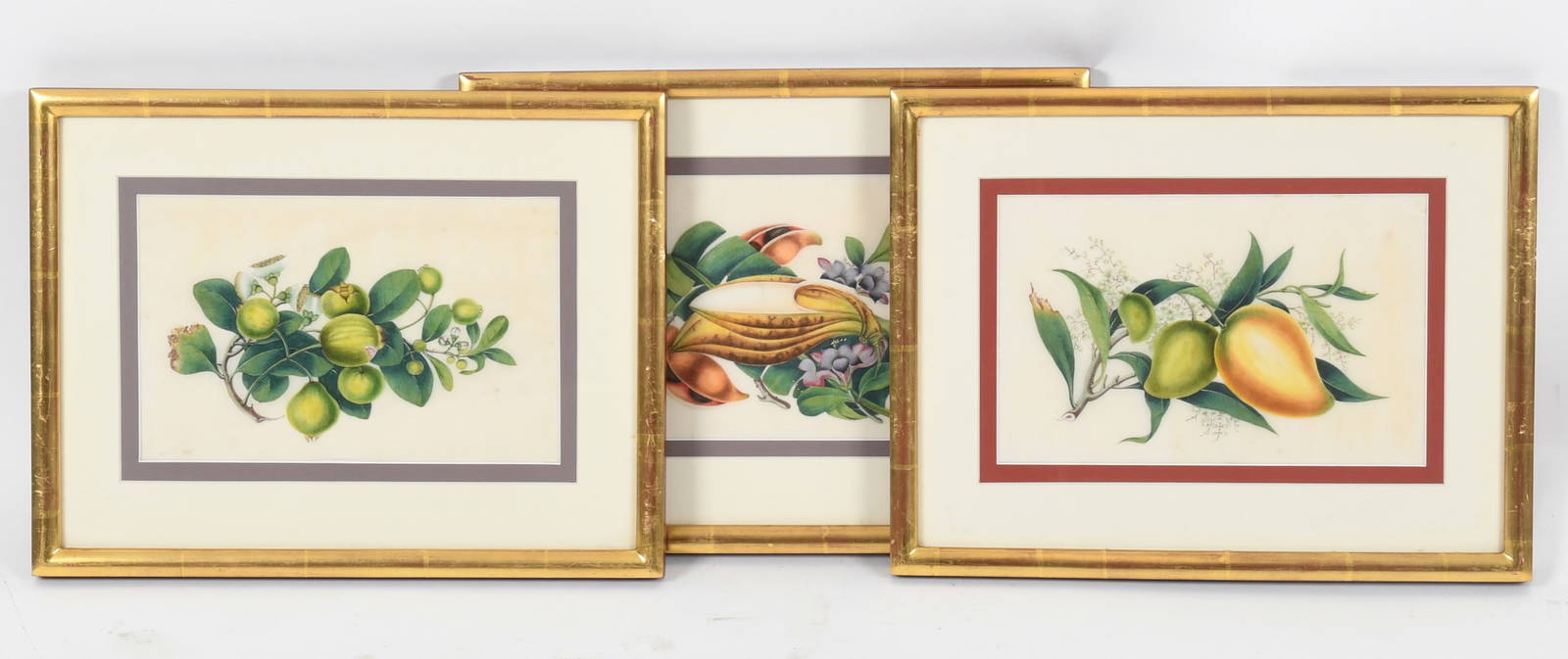 Three Chinese Export Botanical Watercolors