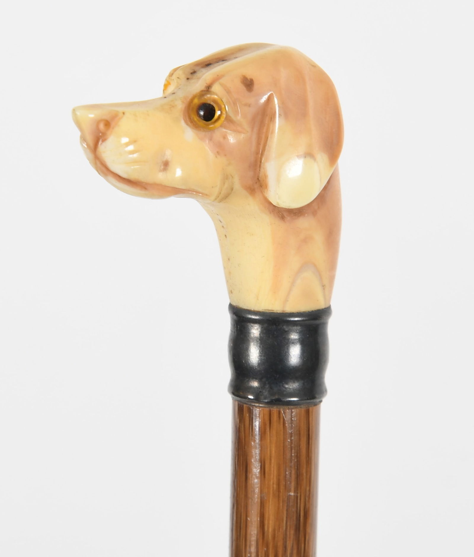 Ten Parasols/Umbrellas - 7