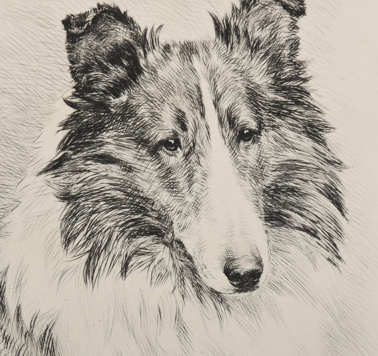 Marguerite Kirmse (American, 1885-1954), Portrait of a Collie (1 of 3)