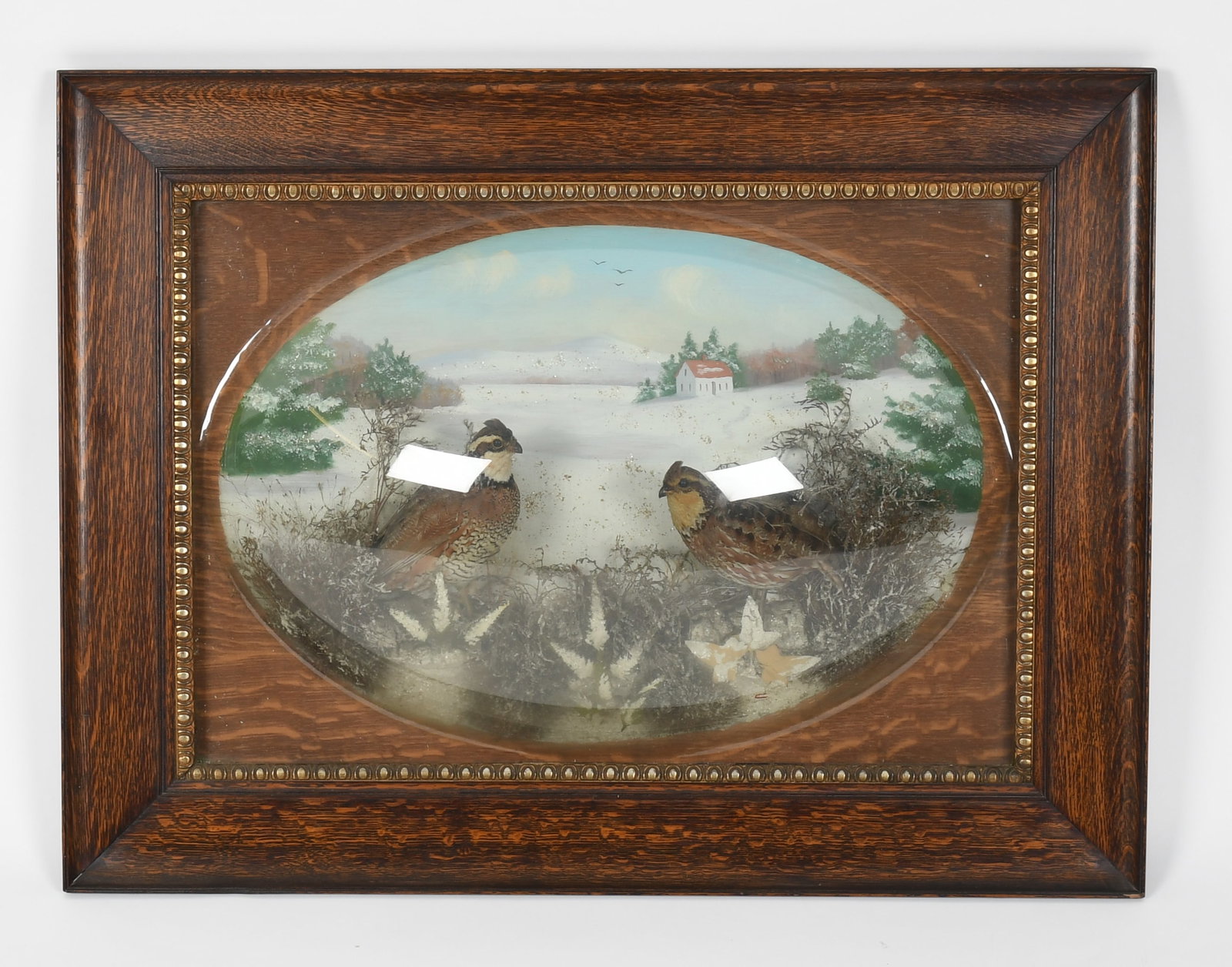 A Late 19th Century Taxidermy Diorama (1 of 7)