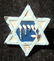Palestine light blue on white metal Zionist pin with