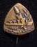 Israeli participation stick-pin of the 1957 Arms Expo