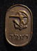 Membership pin of the Hapoel football club of the city