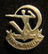 Membership pin of the HaPoel football club of Rishon