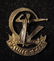 Membership pin of the HaPoel football club of Rishon - 2