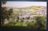 1900s Holyland/Palestine unused color picture postcard