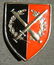 Israeli Army/IDF pin of the Mighty Formation (7338