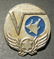 Israeli Airforce/IAF pin Unit 180 computing &