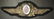 Rare WWII officer's cap badge of Vlasov's Russian