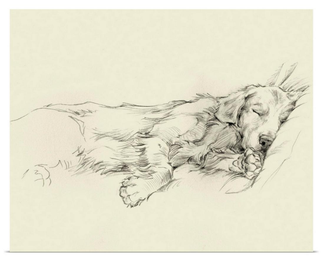 "Dog Days III" by Ethan Harper Print Wall Art (1 of 1)