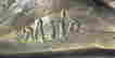 item-128306380=4