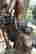 item-130974601=6