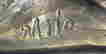 item-131512273=8