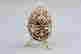 item-132991439=2