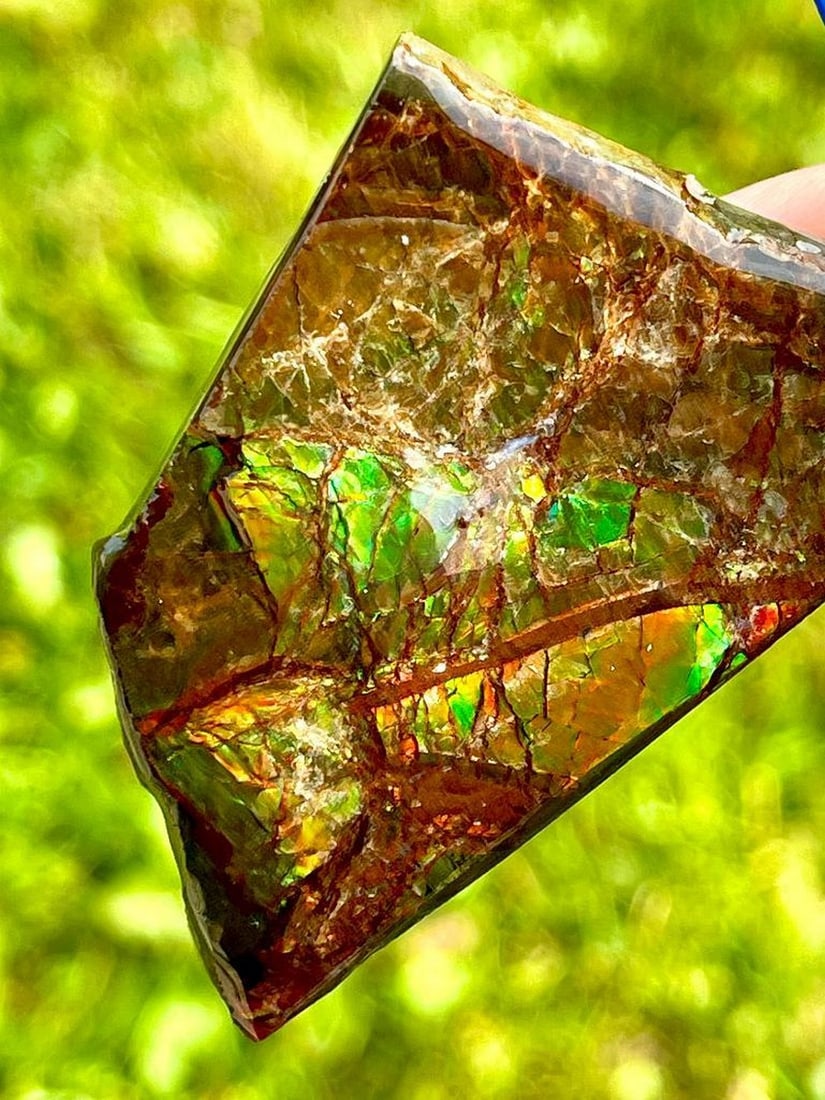 Large Free Form Ammolite Piece (1 of 4)