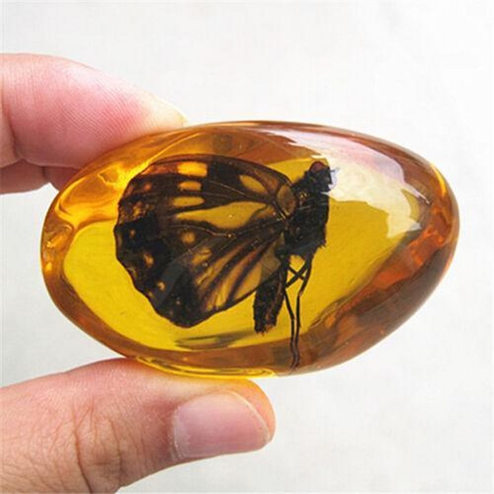 Beautiful Amber butterfly Fossil Insects Manual Polishing .: Beautiful Amber butterfly Fossil Insects Manual Polishing . Size: 66*38*33mm Weight: 44-48g Vew The Photos For Further Details