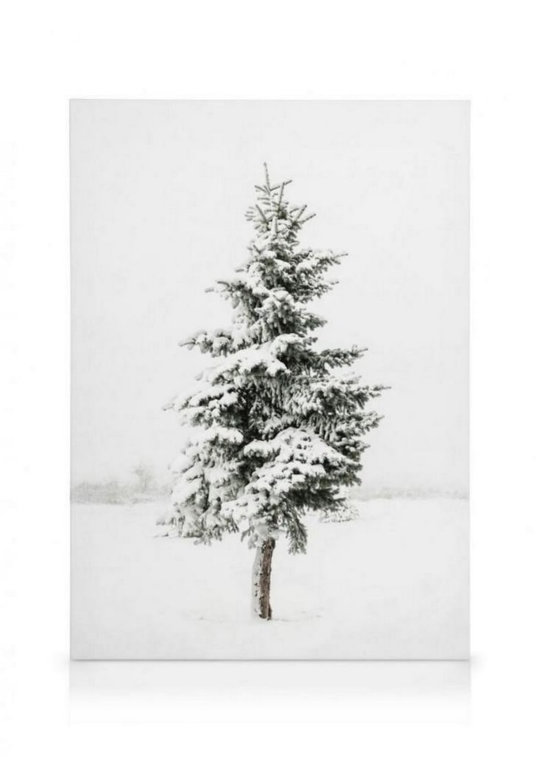 Snow Kissed Spruce on Stretched Canvas: In this enchanting scene captured on a serene winter day, a majestic spruce tree stands as a silent sentinel, cloaked in a pristine blanket of glistening snow. The intricacies of each delicate snowfla