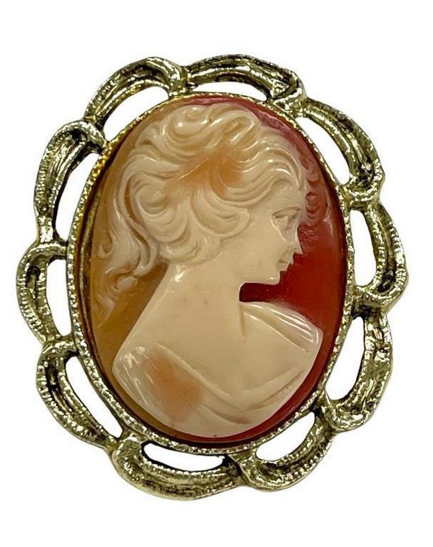 Gilded Cream Victorian Lady Cameo Brooch on Pale Red Canvas (1 of 4)