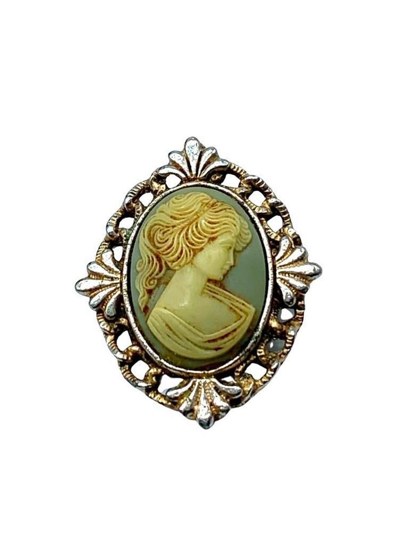 Vintage Cream Cameo Brooch Depicting A Silhouette Of A Victorian Beauty (1 of 4)