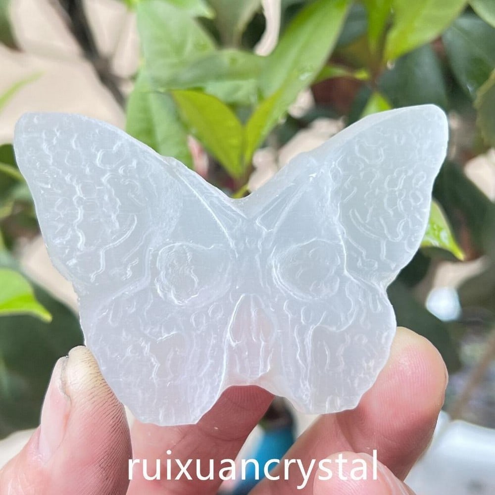 2''Natural Selenite quartz Hand Carved Butterfly Skull Crystal Healing: 2''Natural Selenite quartz Hand Carved Butterfly Skull Crystal Healing Weight: 30+g Size 2 Inches View Photos For Further Details