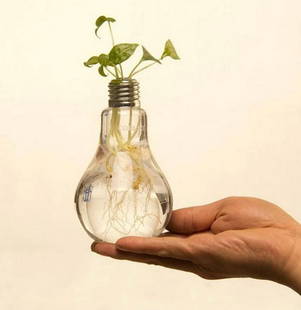 Contemporary "Light Of Life" Art Designed Light Bulb Vase: Contemporary "Light Of Life" Art Designed Light Bulb Vase Light Bulb Glass Vase will look great in your home or office. It also makes the perfect gift. Material: Glass, Metal Height: 4.7 inch