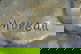 item-207655972=6