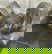 item-208366401=4