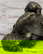 item-210438052=6