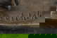 item-210438111=6