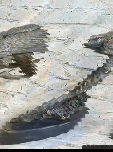 American Eagle Perched On Tree Branch Bronze Inspired Sculpture: American Eagle Perched On Tree Branch Bronze Inspired Sculpture  The full-bodied bird lands on a tree branch after a long flight away from the cold, stormy winters. This bird perches high up to see th