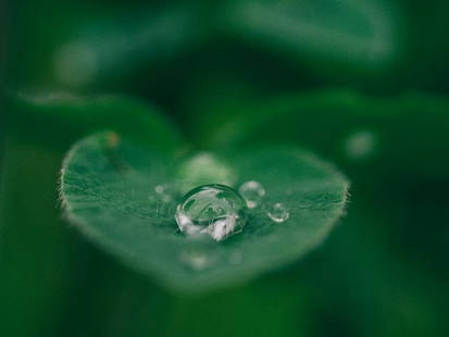 Nature's Tear: Nature&#39;s Tear  A single water droplet rests delicately on the surface of a leaf, catching the light like a tiny crystal. Its perfect curve reflects the world in miniature, while the leaf’s textu