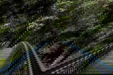 Whispers Beneath the Bridge: Whispers Beneath the Bridge  A quiet moment captured where nature and structure meet—sun-dappled trees frame a timeless bridge, their leaves rustling like whispers in the breeze. The scene invites s