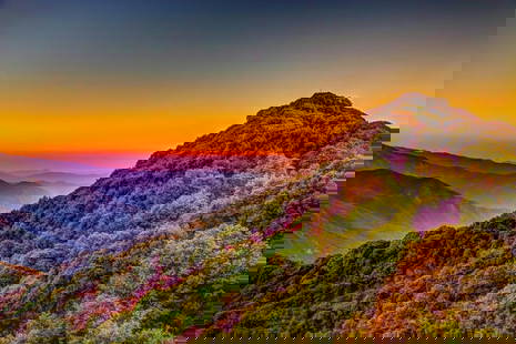 Mountains in Bloom: Mountains in Bloom  As the sun sinks low, the mountains glow with lush tones of green, purple, and rust—each ridge painted by the fading light. The sky burns gold and blush, casting its warmth over