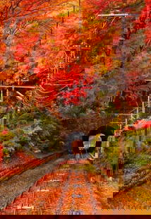 Autumn Passage: Autumn Passage  The railway stretches like a ribbon of steel through a cathedral of fiery autumn leaves, drawing the eye toward the dark mouth of a tunnel that whispers of journey and mystery. Each tr