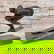 item-210900818=1