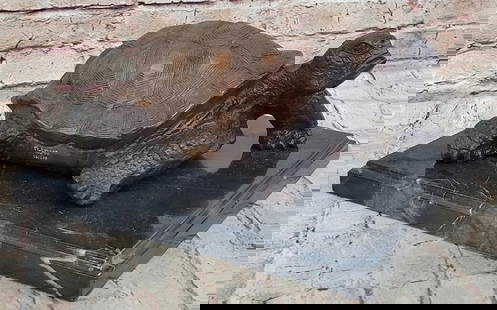 Bronze Tortoise Sculpture On Marble Base - 6" x 12.5": Bronze Tortoise Sculpture On Marble Base - 6" x 12.5" Introducing a magnificent bronze statue brimming with vibrant movement. Behold the joyful journey of a turtle as it gracefully