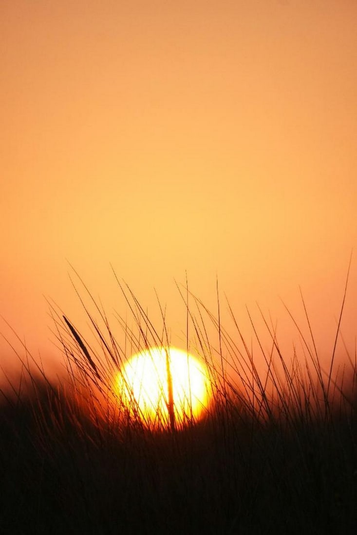 First Light Over the Horizon: First Light Over the Horizon Golden hues stretch across the sky as the sun rises, casting a gentle glow over the stillness of morning. This serene moment captures the quiet power of a new beginning,