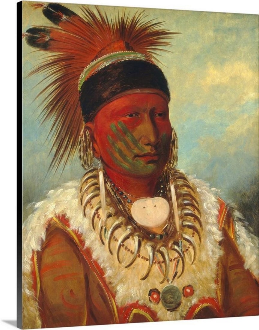 The White Cloud, Head Chief of the Iowas, 1844–45 Canvas Reproduction by George Catlin – 20" x: The White Cloud, Head Chief of the Iowas, 1844–45 Wall Art Canvas Reproduction by George Catlin – 20" x 24" George Catlin (1796–1872) was an American painter, author, and traveler best k