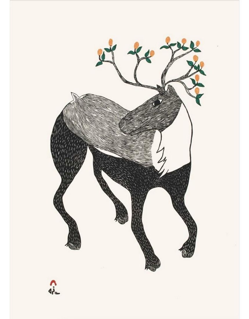 12" x 14?? Caribou In Bloom by Ningiukulu Teevee Framed Print: 12" x 14” Caribou In Bloom by Ningiukulu Teevee Framed Print A few years ago, I created Shaman Revealed, a drawing inspired by the Kiviuq legend about a woman transforming into a fox. My int