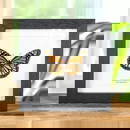 6" x 6" Female Monarch Butterfly - Danaus Plexippus (Ventral Side)