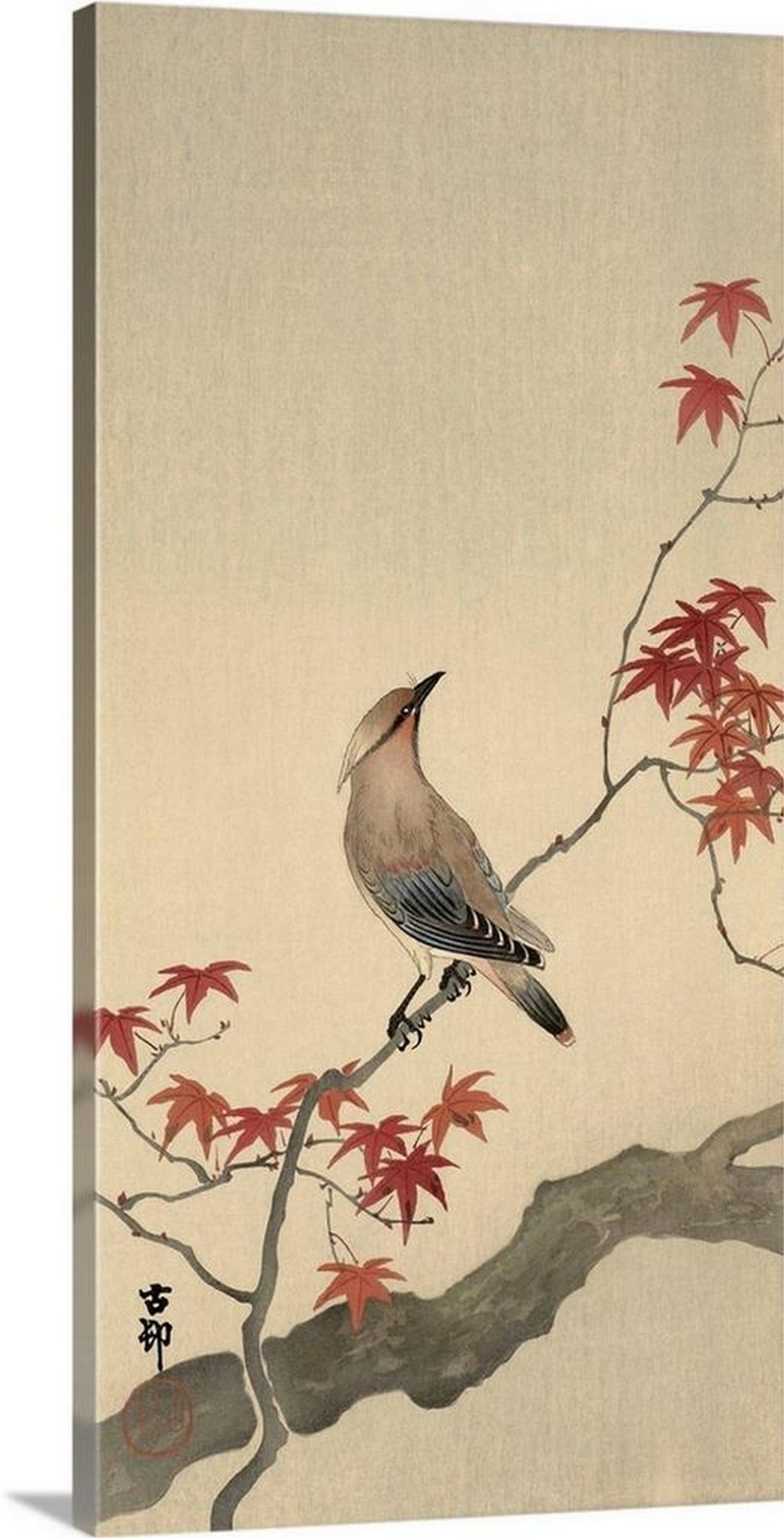 Japanese Waxwing on Maple – Canvas Reproduction by Ohara Koson (1 of 2)