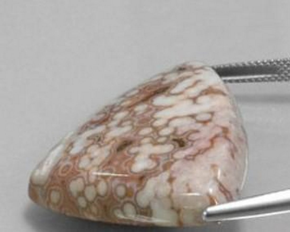 48.49ct Artisan-Cut Multicolor Jasper: 48.49ct Artisan-Cut Multicolor Jasper A bold and substantial 48.49ct natural jasper gemstone, expertly shaped into a striking trillion cut. This opaque stone features an organic mosaic of earthy tone