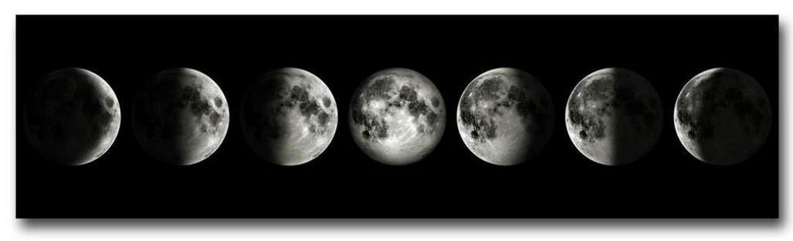 A Journey Through The Lunar Cycle Phases Picture (1 of 1)